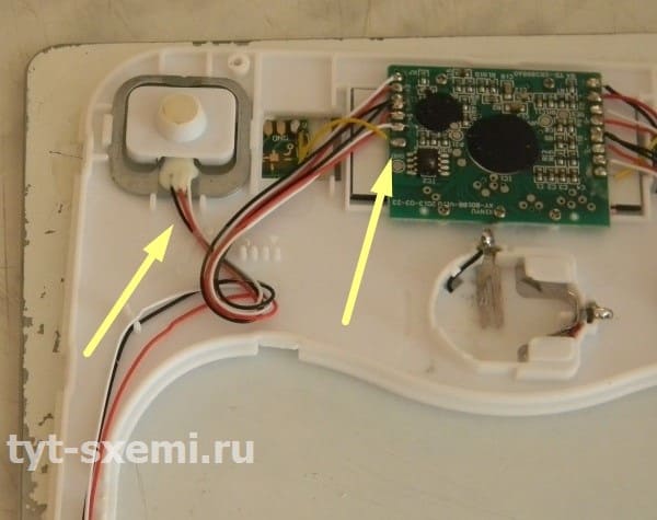 Ремонт холодильников Siemens в Москве